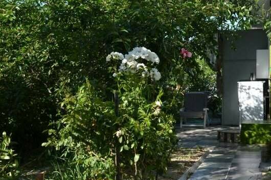 Гостевой дом «Яна»