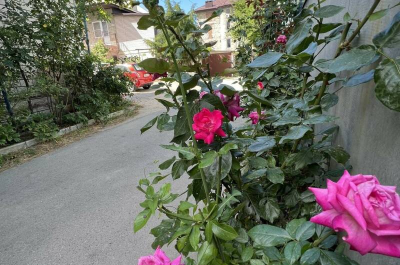 Гостевой дом у моря «9 Граней»