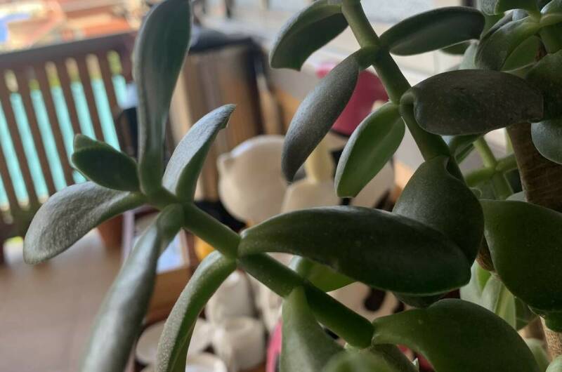 Отель «Гармония»