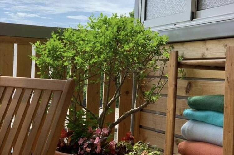 Отель «Гармония»