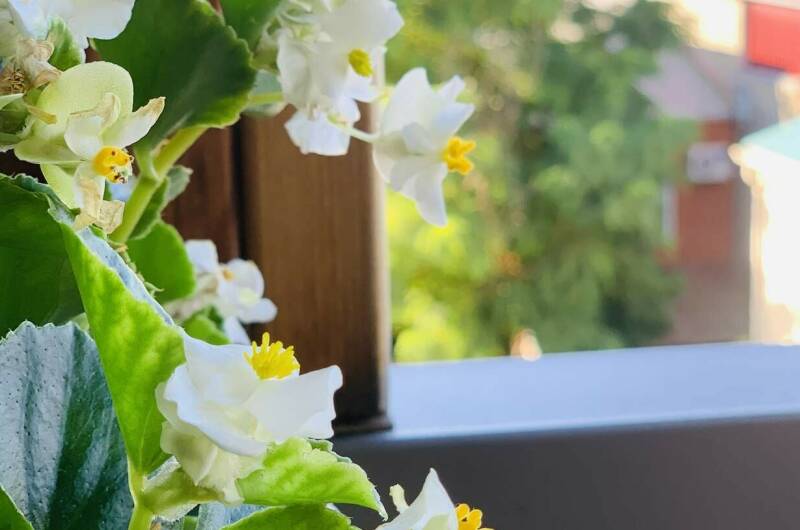 Отель «Гармония»