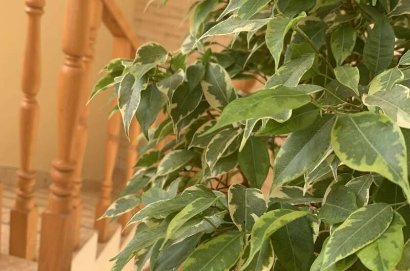 Отель «Гармония»