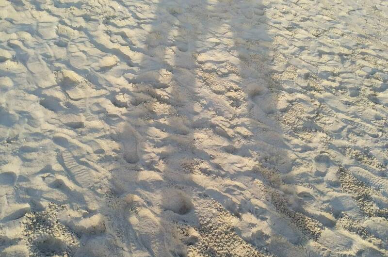 Гостевой дом «Троя»