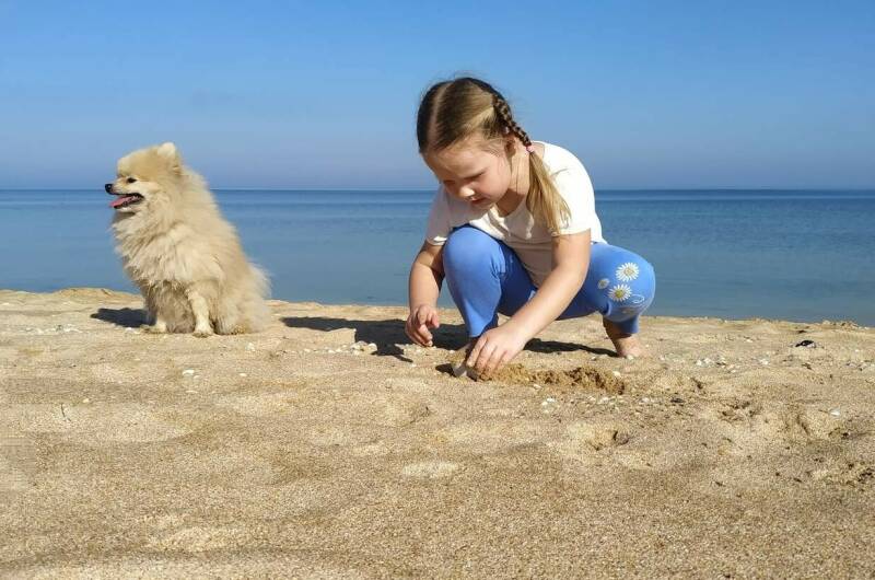 Гостевой дом «Троя»