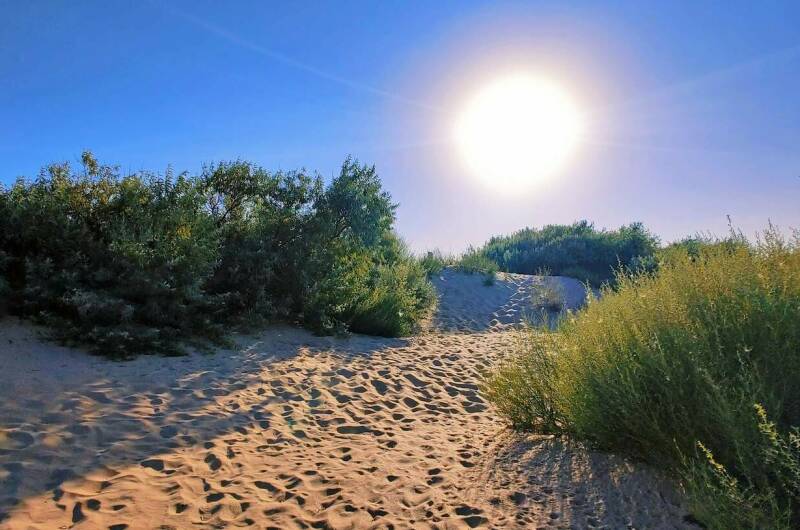 Отель «Антарес»