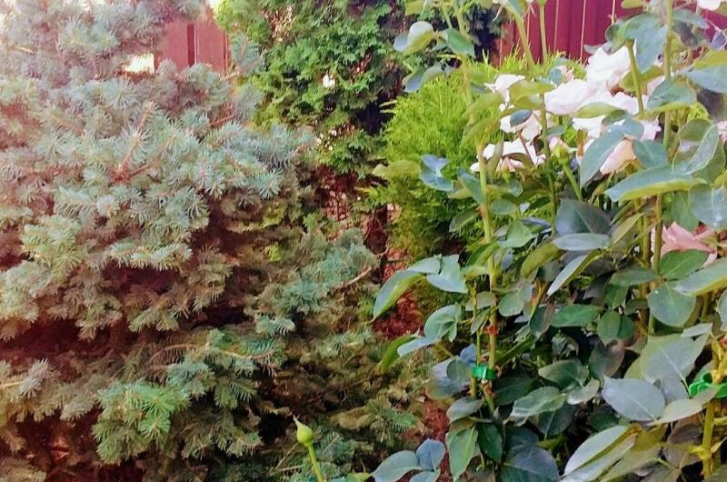 Двухкомнатный номер в частном доме