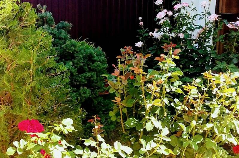 Двухкомнатный номер в частном доме