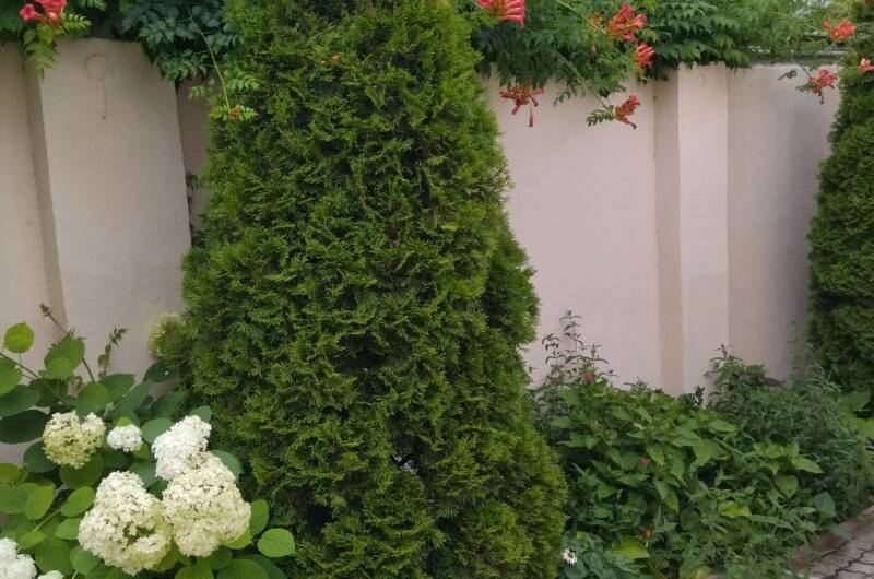 Гостевой дом «Ирэн»