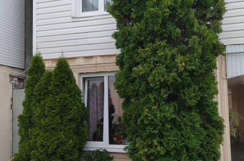 Гостевой дом «Ирэн»