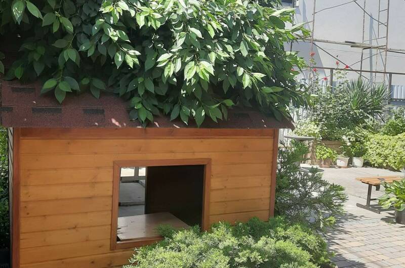 Частный дом «Анастасия»