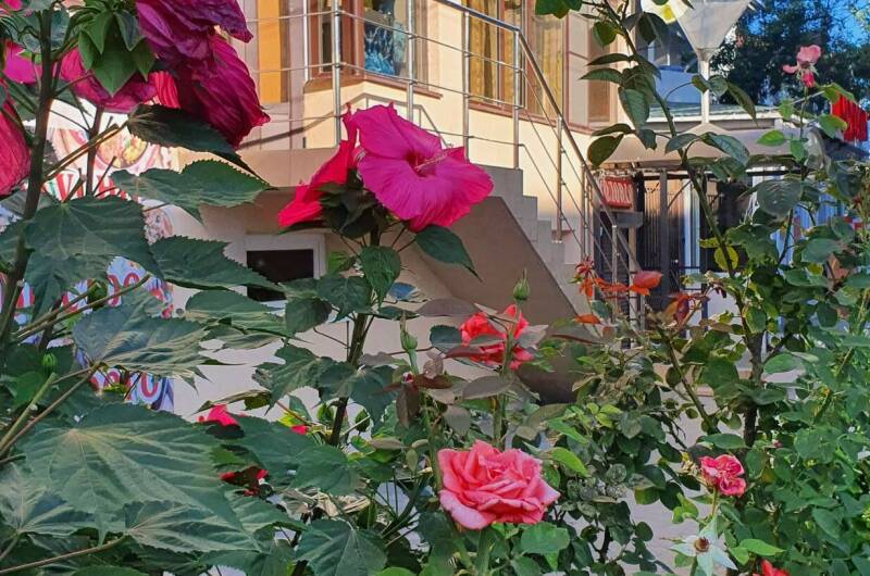 Гостевой дом «ВиЖен»