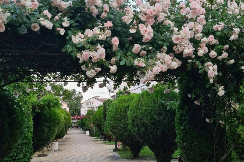 Гостевой дом на Пионерском