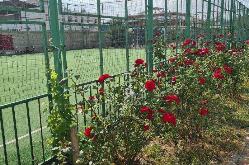 Апартаменты ЖК «Кавказ»