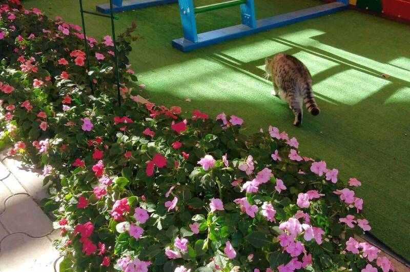 Гостевой дом «Радужный»