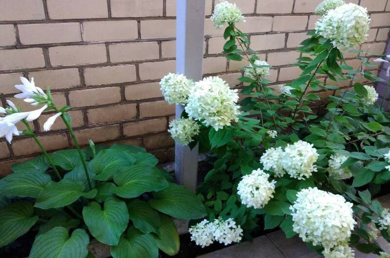 Гостевой дом «Радужный»