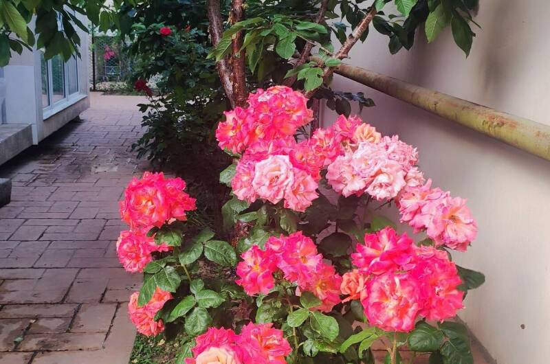 Двухкомнатная квартира