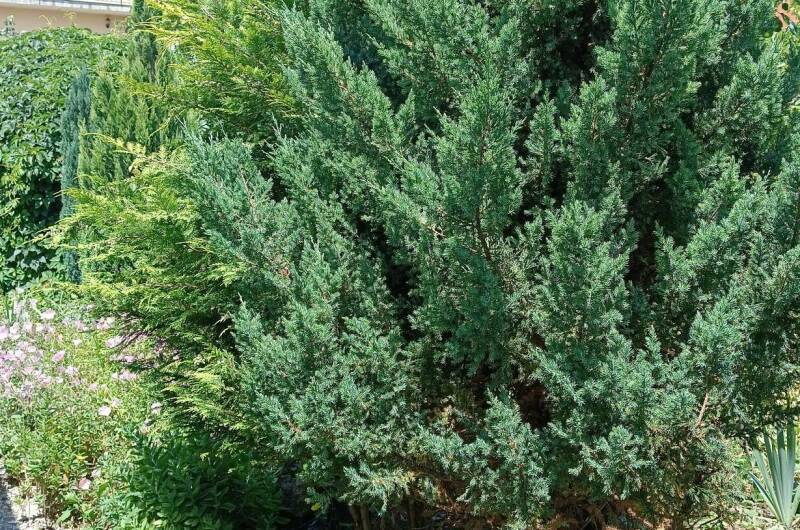 Частный сектор «У АрсиКа»