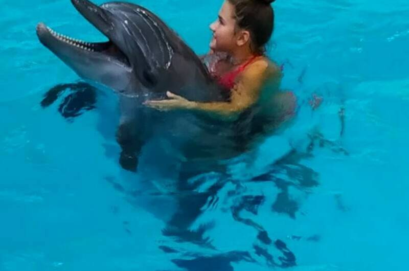 Гостевой дом «Троя»