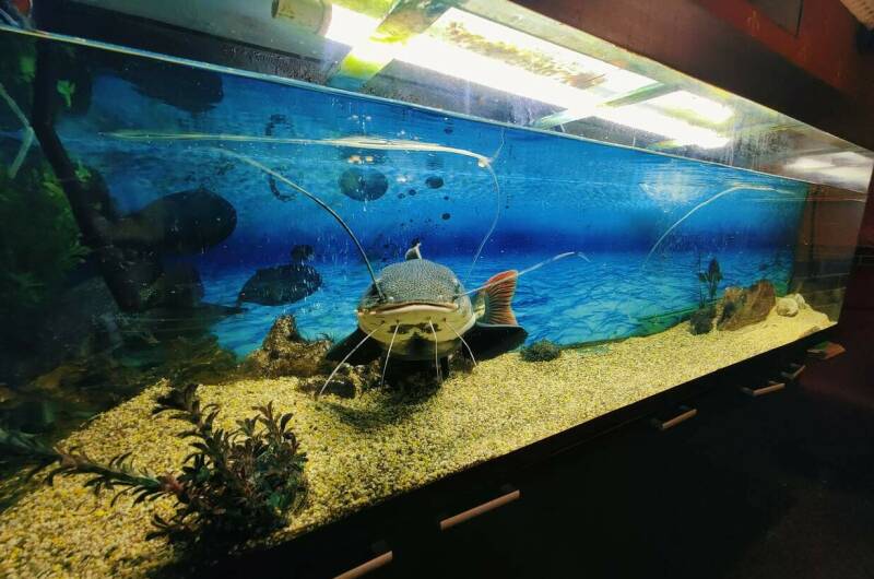 Гостевой дом «Семья»