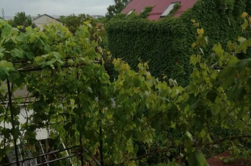 Частный сектор на Самбурова