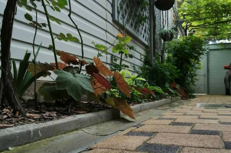 Частный сектор на Самбурова