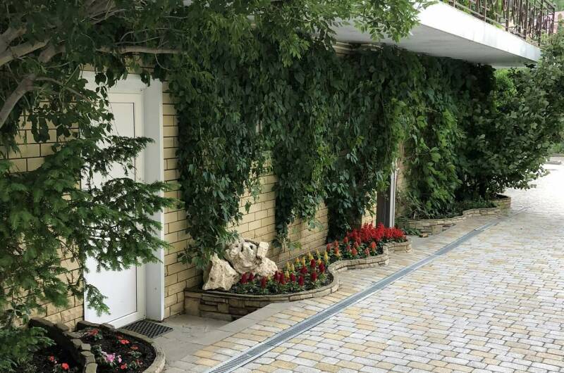 Гостевой дом «Горный воздух»