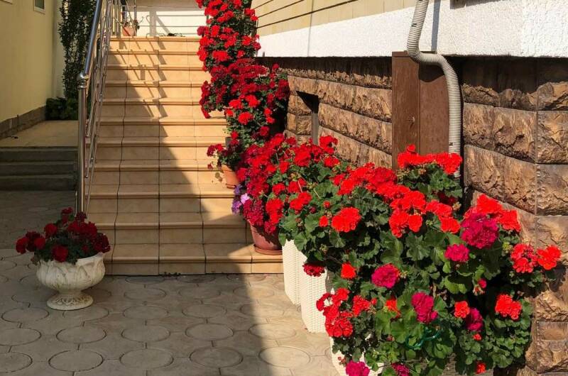 Гостевой дом «Водолей»