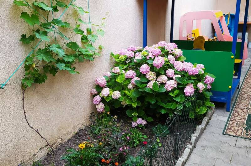 Гостевой дом «Лайза»