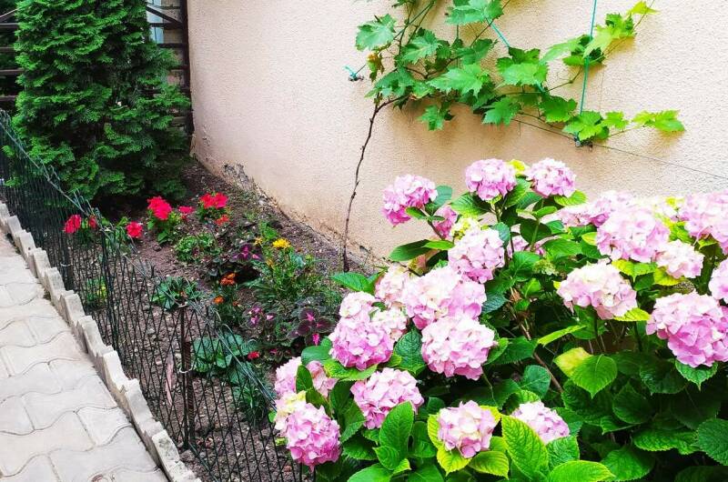 Гостевой дом «Лайза»