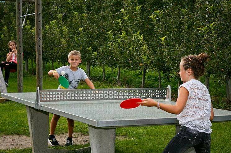 Загородный клуб «Лес»