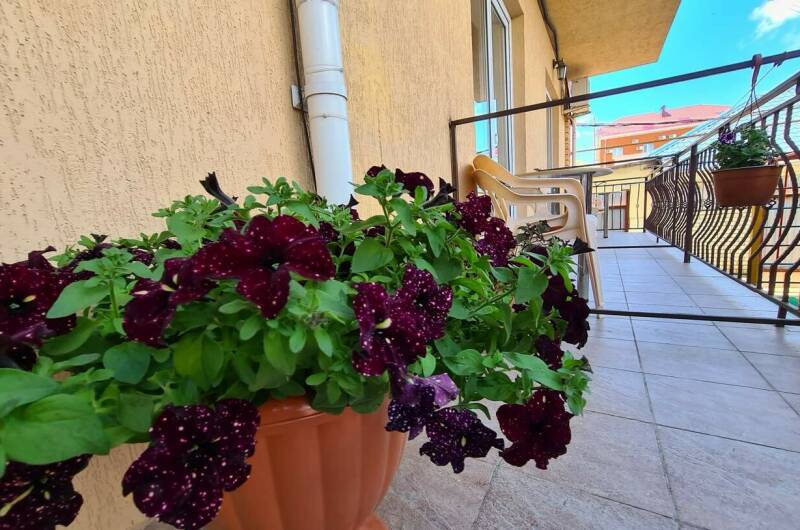 Гостевой дом «Лиса»