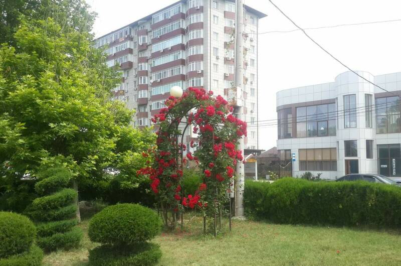 2-комнатные апартаменты