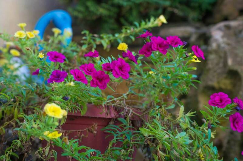 Частное домовладение «Утёс»