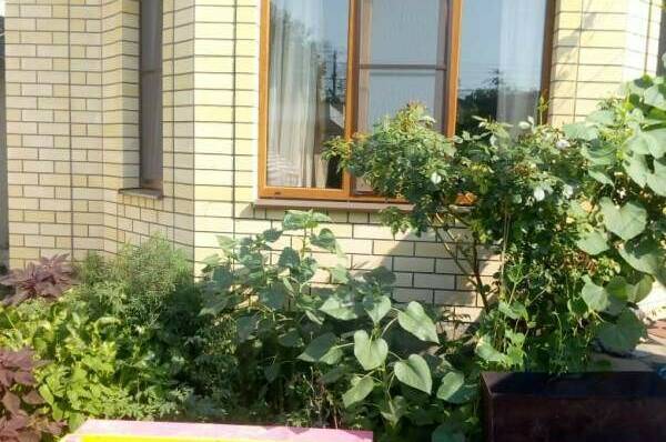 Частный сектор на Гоголя