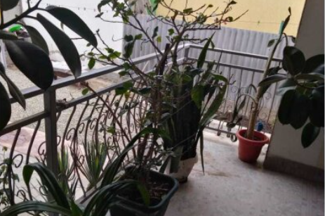 Гостевой дом «Елена»