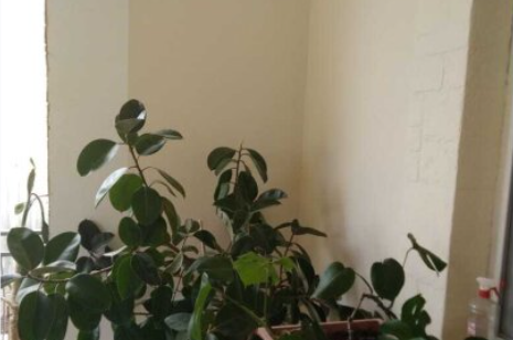 Гостевой дом «Елена»