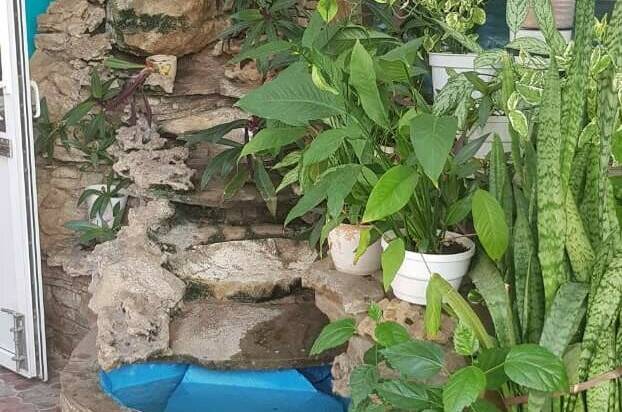 Гостевой дом «Екатерина»