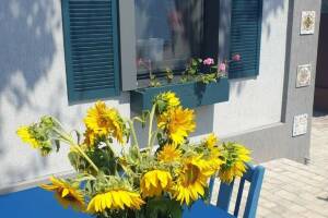 Изображение Дом под ключ «Дом художника» #3