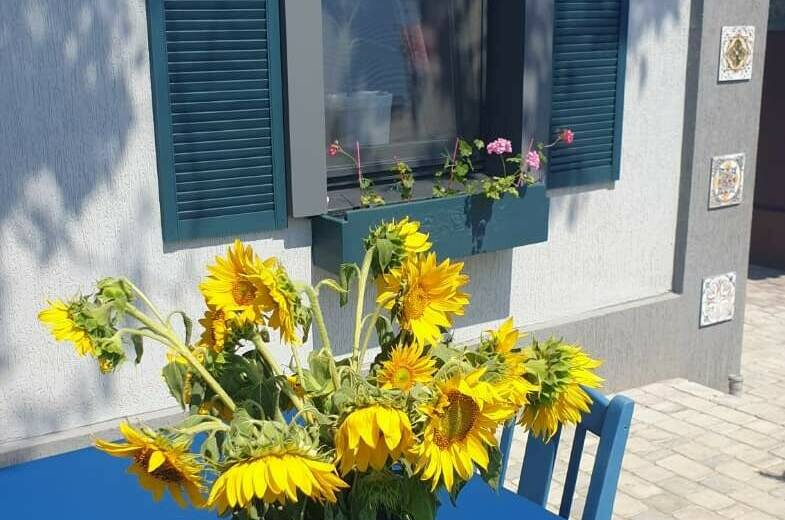 Дом под ключ «Дом художника»