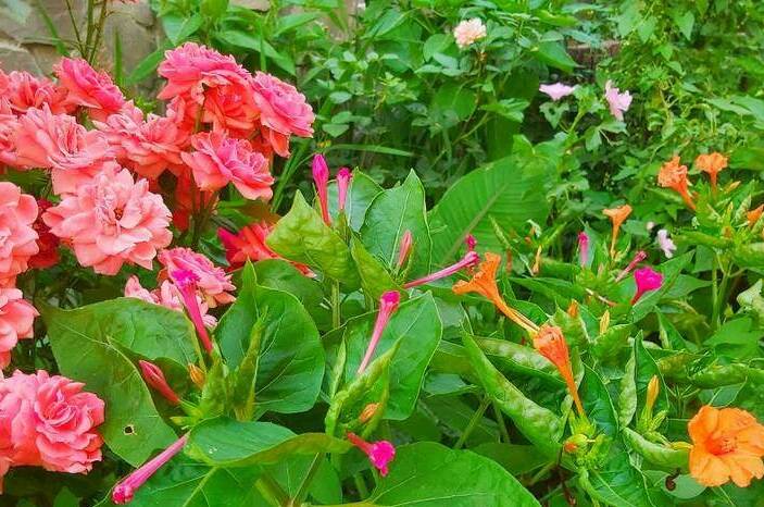 Частный сектор «На Тургенева»