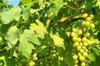 Частный сектор «На Тургенева»