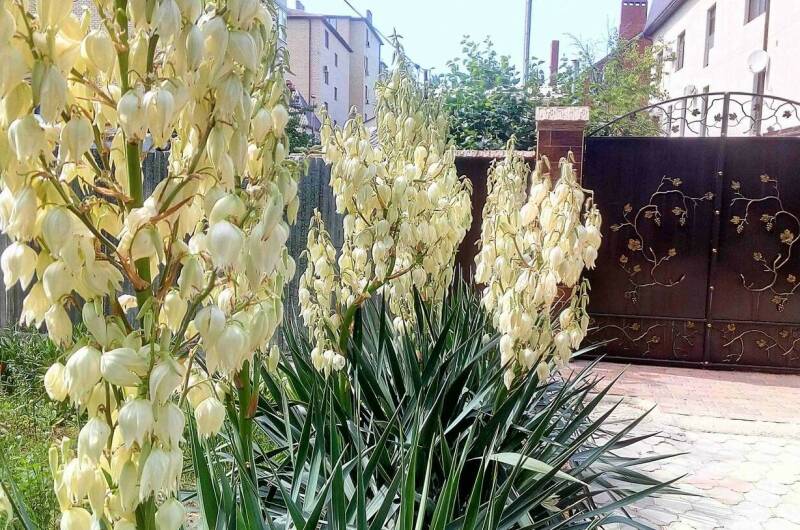 Частный сектор «На Тургенева»