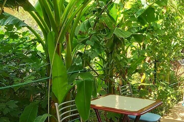 Частный сектор «На Тургенева»