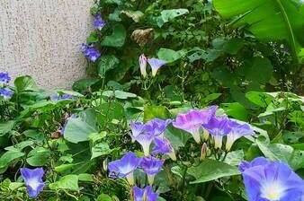 Частный сектор «На Тургенева»