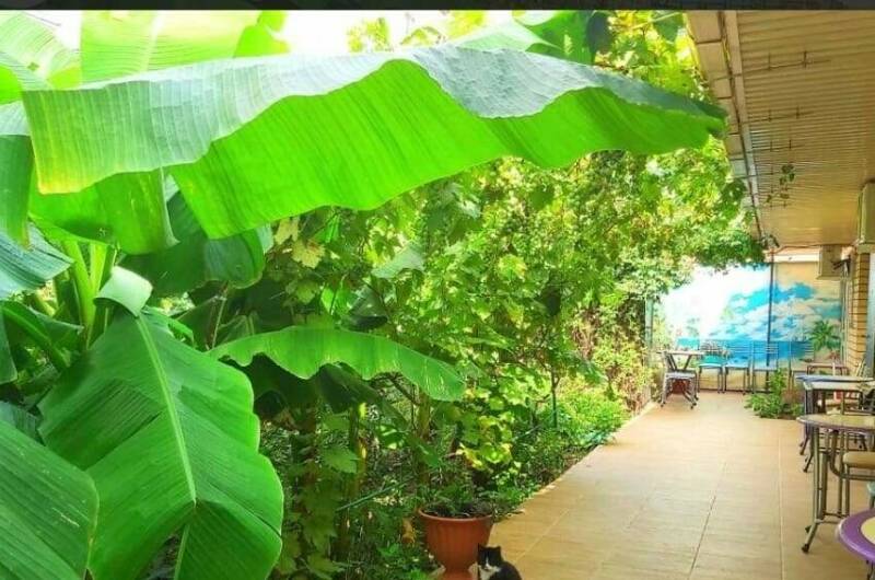 Частный сектор «На Тургенева»