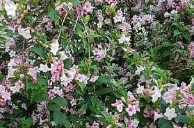 Частный сектор «Черноморский»