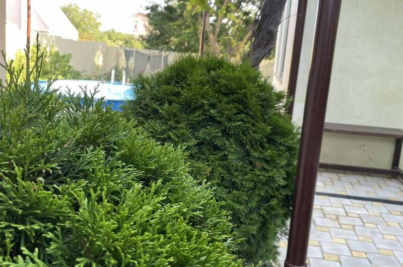 Гостевой дом «НикЛена»