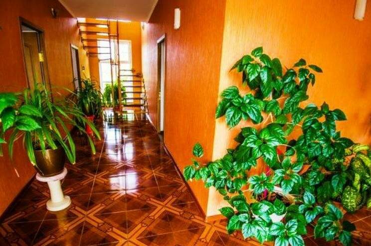 Гостевой дом «Афина»