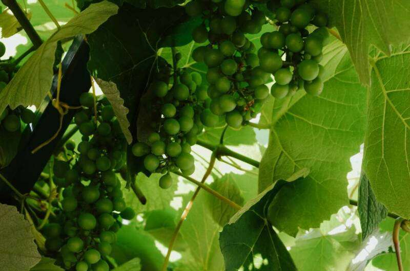 Частный сектор «Высокий берег»