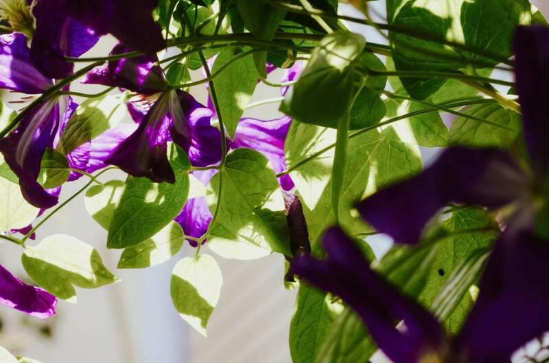 Частный сектор «Высокий берег»